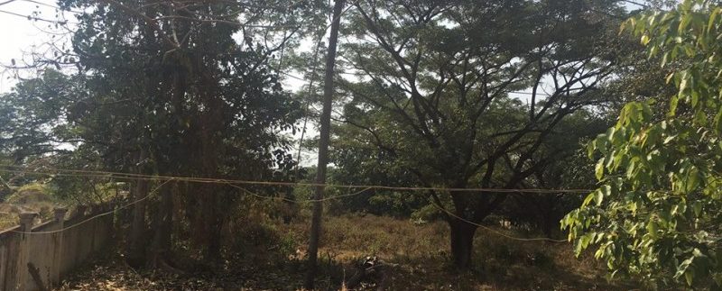 Land for sale on main road and sea view in Kep (5)