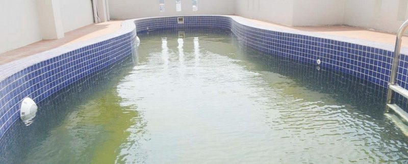 New apartment for rent in Toul Kork (1)