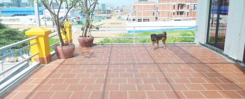 Beautiful villa with pool in Daun Penh for sale (5)