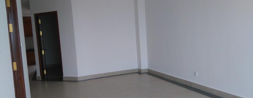 New condo with river view for sale (2)