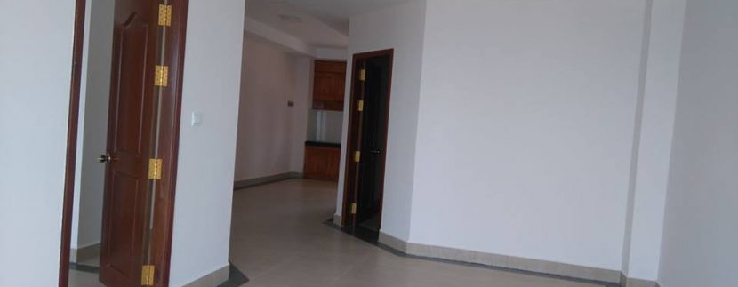 New condo with river view for sale (4)