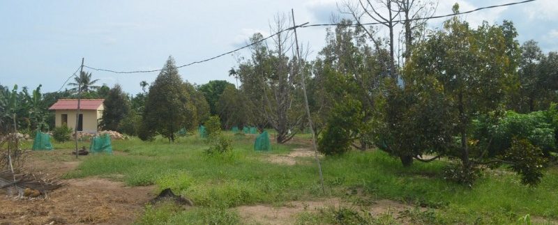 4 hectares land in kampot for sale (2)