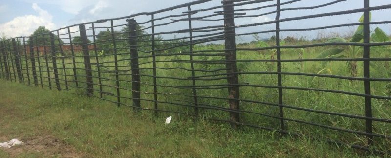 Land for sale in Veal Sbov (1)