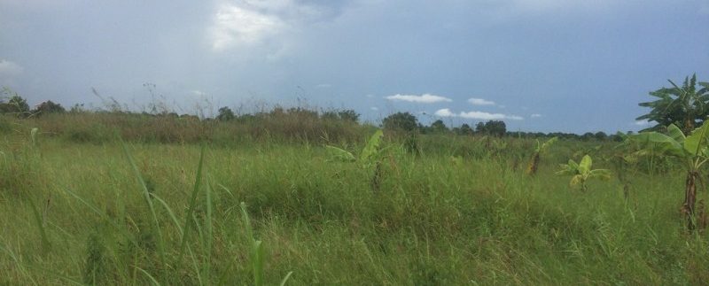 Land for sale in Veal Sbov (2)