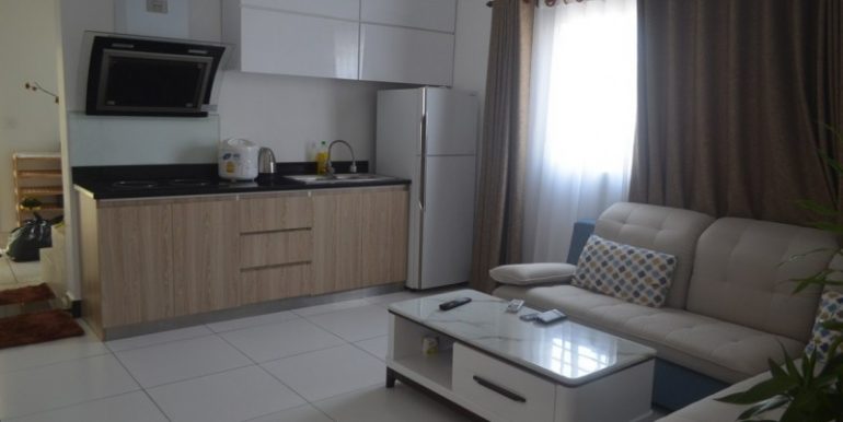 Nice apartment for sale in Daun penh (6)
