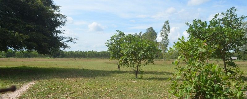 6.5 hectares for sale or exchange in Ou Dong (1)