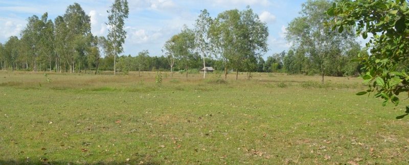 6.5 hectares for sale or exchange in Ou Dong (2)