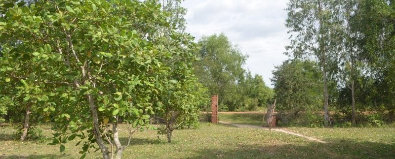 6.5 hectares for sale or exchange in Ou Dong (4)