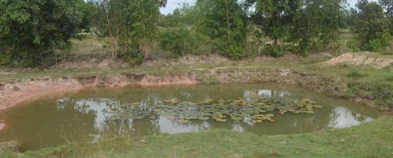 6.5 hectares for sale or exchange in Ou Dong (6)