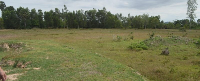 6.5 hectares for sale or exchange in Ou Dong (7)