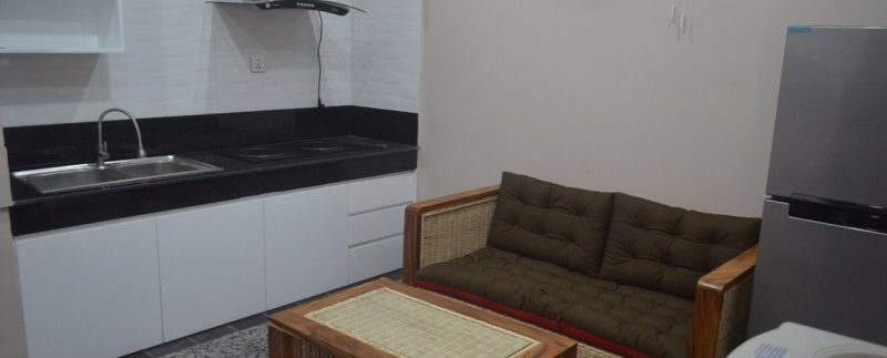 Apartment for rent in Daun penh (2)