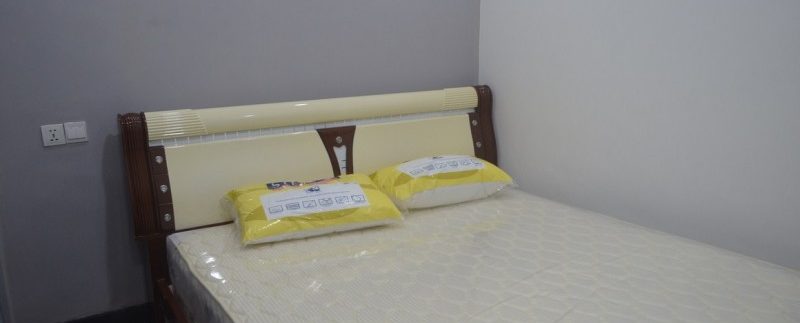 Apartment for rent in Daun penh (3)