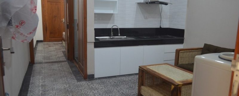 Apartment for rent in Daun penh (6)