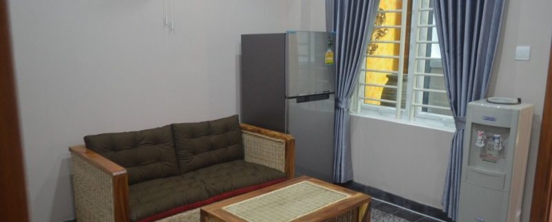 Apartment for rent in Daun penh (7)