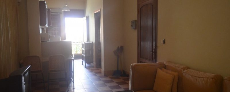 New-apartment-for-rent-in-Tonle-bassac-3-770x386 (4)
