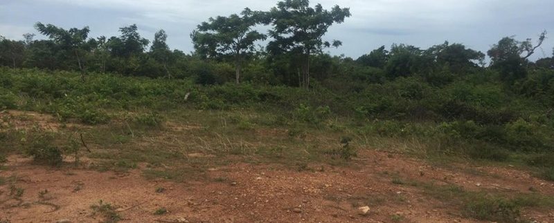 21209149_1554835804577694_1894324423_n