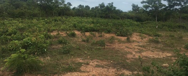 21244454_1554835714577703_1789004597_n