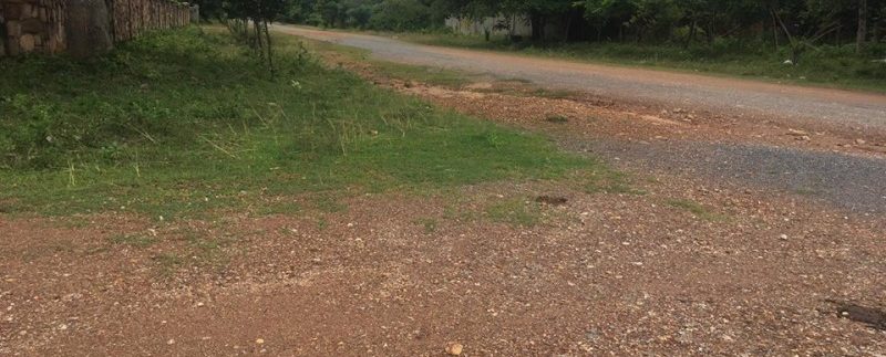 21245254_1554829467911661_1871064597_n