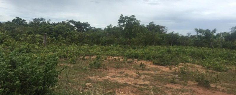 21245535_1554835737911034_1562797875_n