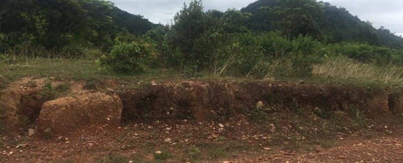 21269644_1554835884577686_109878158_n