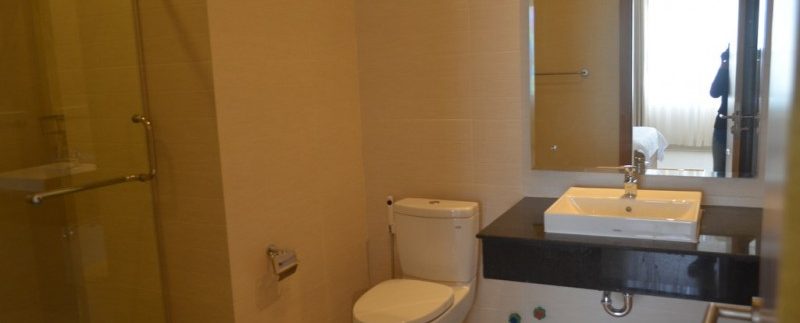 Brand New Apartment With Swimming Pool For Rent Daun Penh (8)