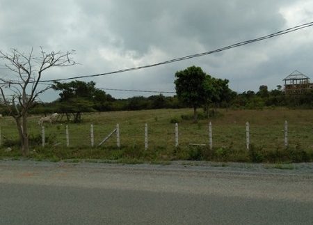 98mx83m Land For Sale Next Independence In Kep (4)