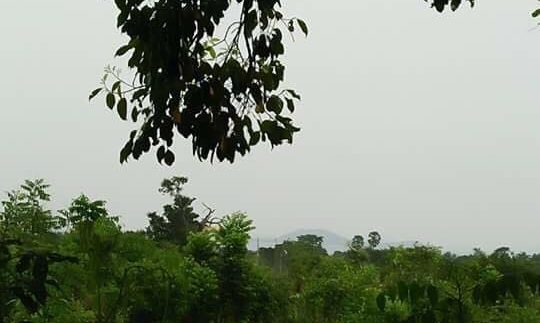 100m X 80m Sea view Land For sale In Kep (1)