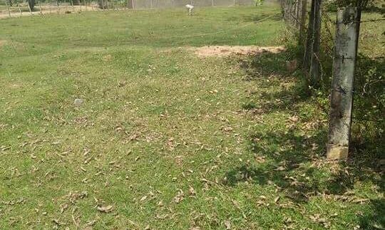 100m X 80m Sea view Land For sale In Kep (3)