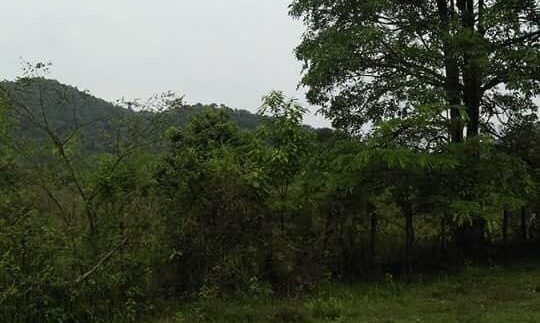 100m X 80m Sea view Land For sale In Kep (5)