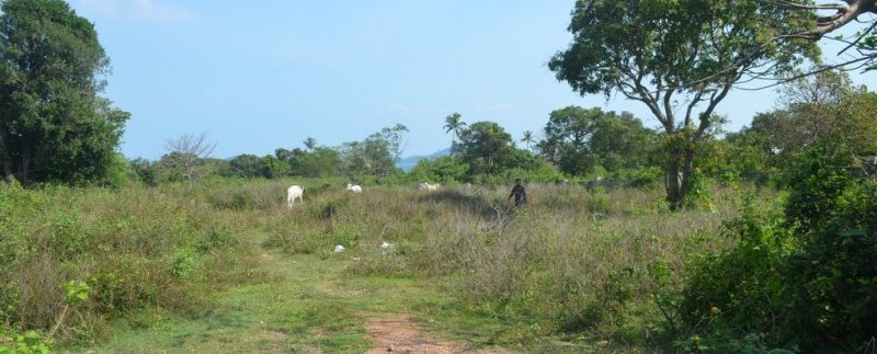 54m X90m Land For Sale In Kep (6)