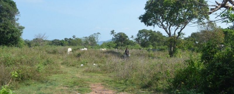 54m X90m Land For Sale In Kep (7)