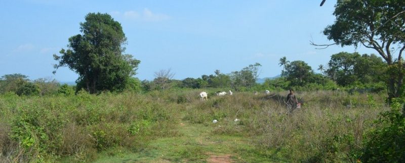 54m X90m Land For Sale In Kep (8)