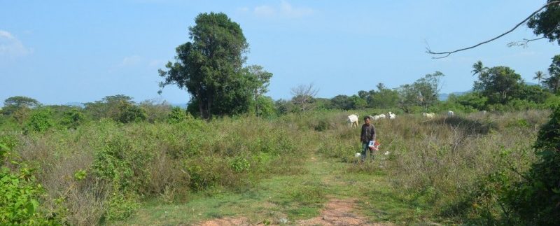 54m X90m Land For Sale In Kep (9)