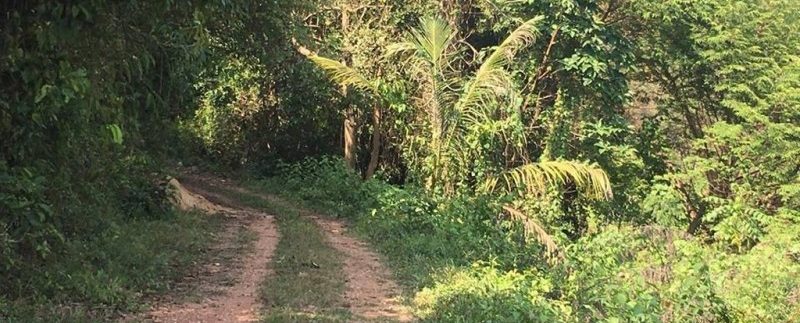 70mX50m Land seaview backside mountain For Sale In Kep (2)