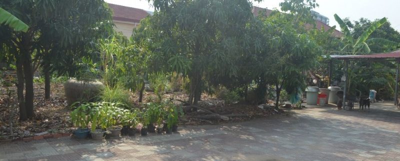 Investment Land For Sale In Chroy changva (3)