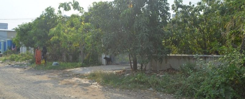 Investment Land For Sale In Chroy changva (5)