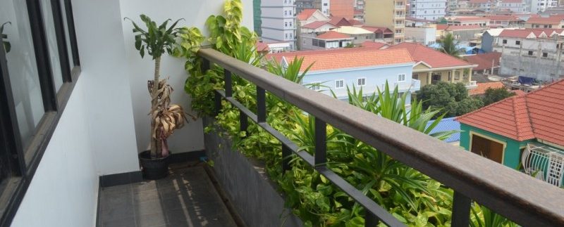 Nice 1 Bedroom Service Apartment For Rent In Russian Market (9)