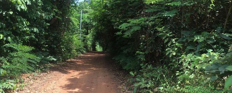 60m X 90m Land For Sale In Kep City (2)