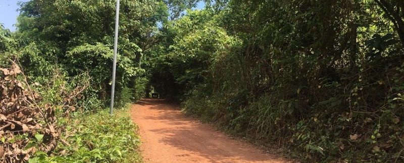 60m X 90m Land For Sale In Kep City (3)