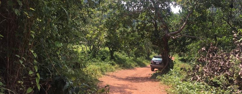 60m X 90m Land For Sale In Kep City (4)