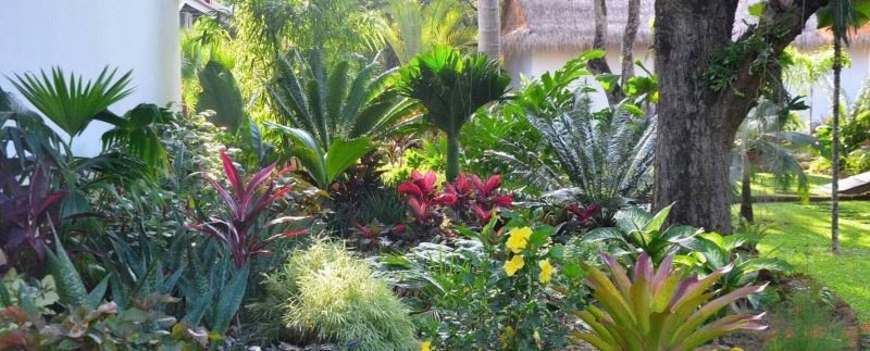 Beautiful House 3bedroom with swimming pool for sell in kep (1)