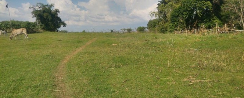 Land For Sale Along MEKONG RIVER (1)