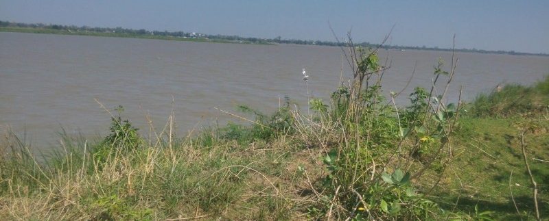 Land For Sale Along MEKONG RIVER (7)