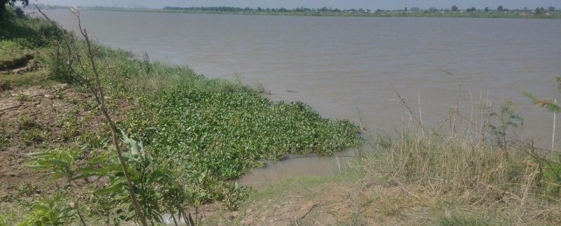Land For Sale Along MEKONG RIVER (8)