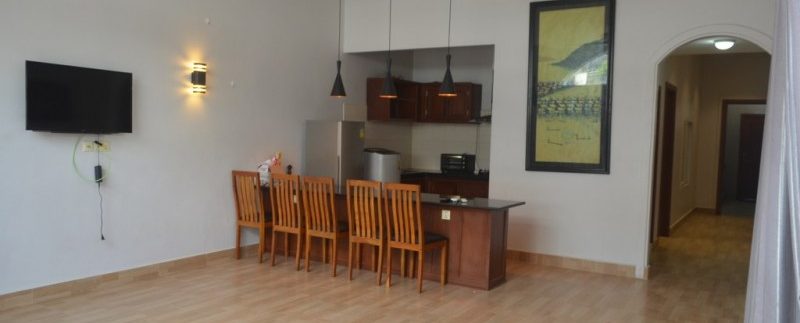 FULLY FURNISHED APARTMENT FOR RENT IN DAUN PENH (7)