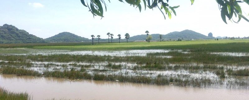 photo_2018-10-31_10-58-12