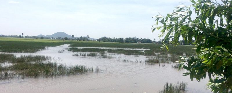 photo_2018-10-31_10-58-14