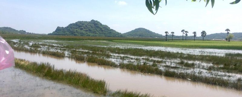 photo_2018-10-31_10-58-20