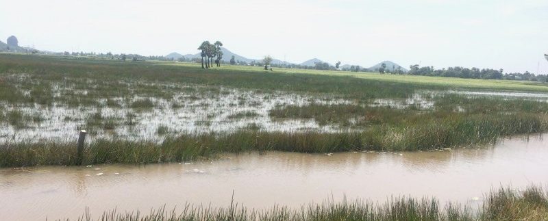 photo_2018-10-31_10-58-21