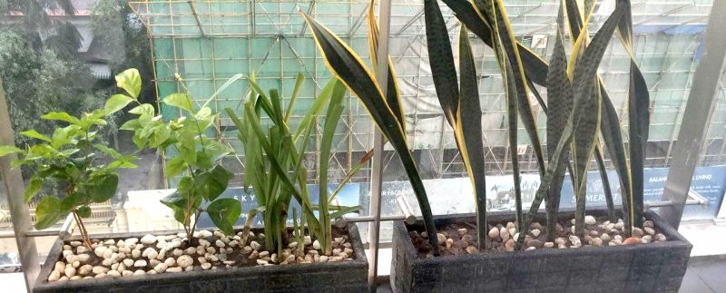 photo_2018-10-31_12-03-32